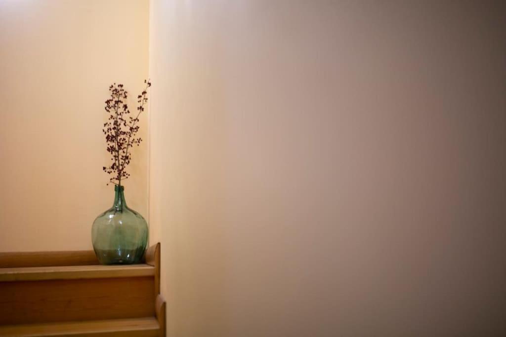 Casa Rural Enekoizar Abaurrea Alta Dış mekan fotoğraf